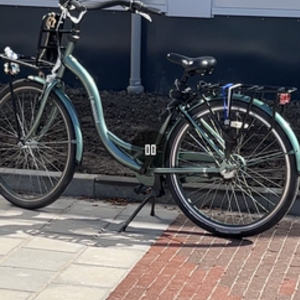 2022 Popal Moderfiets City bike Green