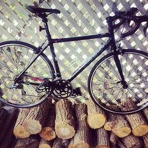 Trek Lexa (Compact) Black and Pink