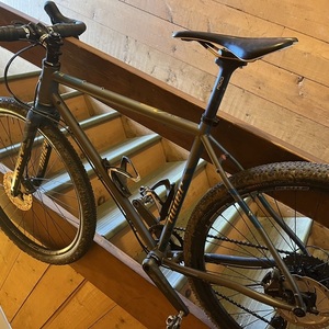 2020 Niner RLT Silver, gray or bare metal