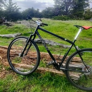 2005 Kelly Roshambo Blue