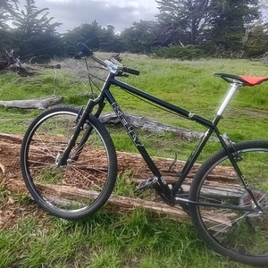 2005 Kelly Roshambo Blue