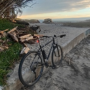 2005 Kelly Roshambo Blue