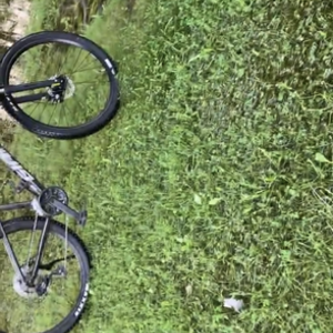 2021 Giant Giant talon Black