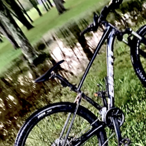 2021 Giant Giant talon Black