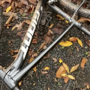 2021 Giant Giant talon Black