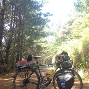 2016 Soma Saga Green