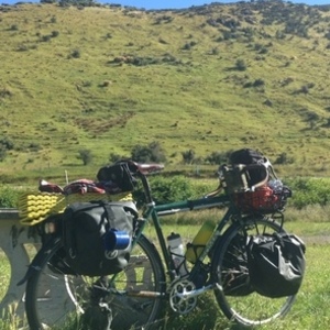 2016 Soma Saga Green