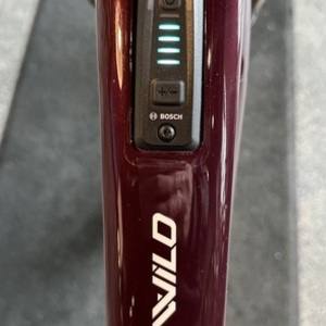 2024 Orbea Wild M11 Purple