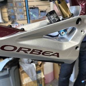 2024 Orbea Wild M11 Purple