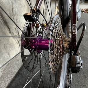 2024 Orbea Wild M11 Purple