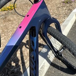 2023 Salsa Cutthroat Blue and Pink