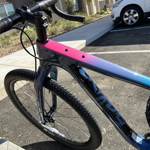 2023 Salsa Cutthroat Blue and Pink