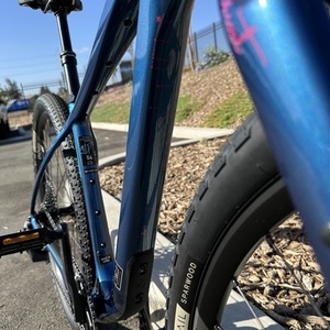 2023 Salsa Cutthroat Blue and Pink