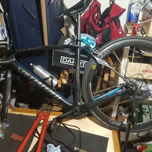 Specialized Roubaix Expert SL4 Black