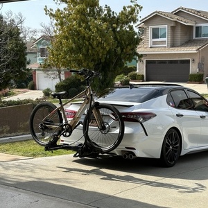 2024 Aventón Pace 500.2 Brown and Yellow or Gold