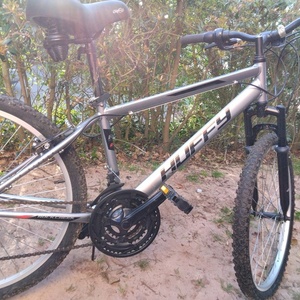 2023 Huffy Rock Creek Silver, gray or bare metal