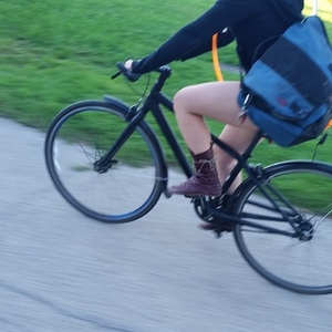 2012 Trek Trek Alpha Gold Series Black