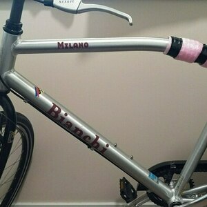 Bianchi Milano Silver, gray or bare metal
