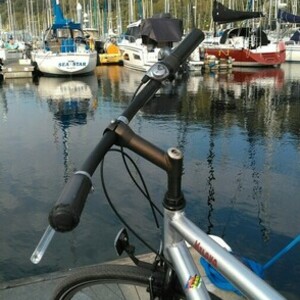 Bianchi Milano Silver, gray or bare metal