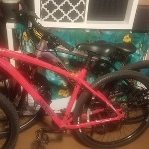 2024 Schwinn Al comp Silver, gray or bare metal