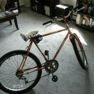 Raleigh Ozark Orange