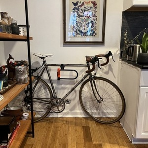 Motobecane Jubile Sport Silver, gray or bare metal