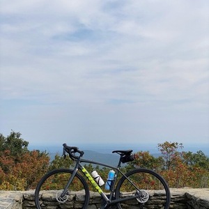 2021 Trek Domane AL3 Disc Silver, gray or bare metal