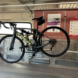 2021 Trek Domane AL3 Disc Silver, gray or bare metal