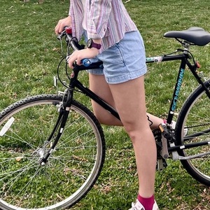 Schwinn Crisscross Black