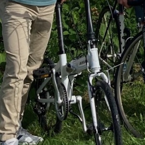 Biria Folding 20" Aluminum 7-speed White