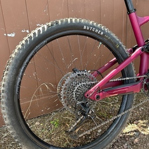 2023 Specialized Status 140 Red and Red