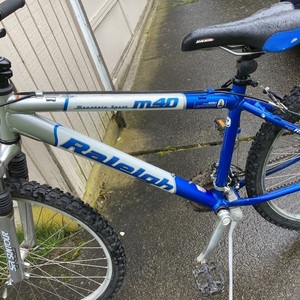 Raleigh 26 inches White and Blue