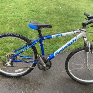 Raleigh 26 inches White and Blue