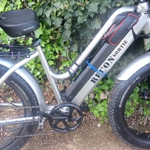 Rad Power Bikes Recon Silver, gray or bare metal