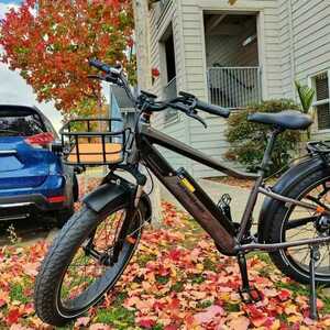 2024 Rad Power Bikes RAD POWER6 Black