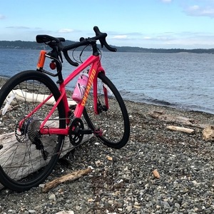 2019 Specialized Diverge E5 Pink