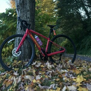 2019 Specialized Diverge E5 Pink