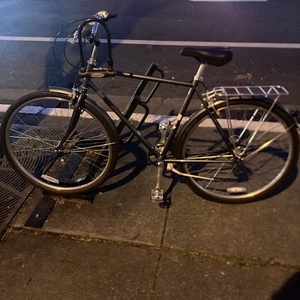 Sun Diamond Silver, gray or bare metal