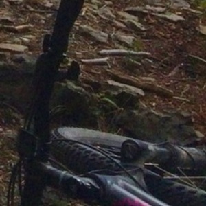 2014 Specialized Silver, gray or bare metal and Pink