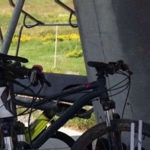 2014 Specialized Silver, gray or bare metal and Pink