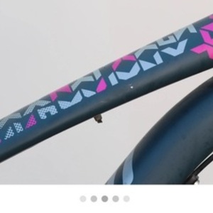 2014 Specialized Silver, gray or bare metal and Pink