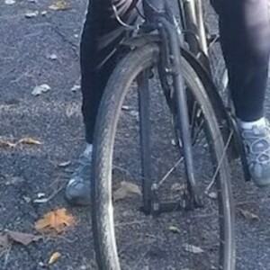 2015 Liv Alight City Blue