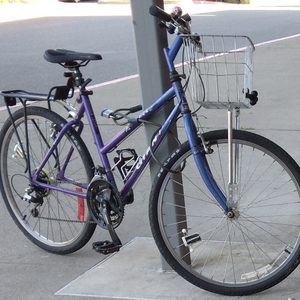 Giant Rincon Purple and Blue