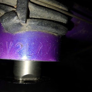 Giant Rincon Purple and Blue