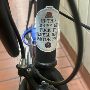 Fyxation pixel 7 speed tan Black