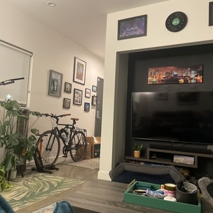 Fyxation pixel 7 speed tan Black