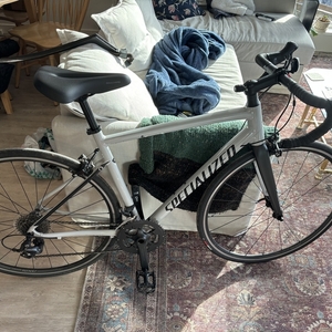 2020 Specialized Allez Silver, gray or bare metal