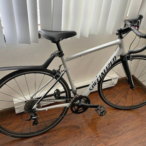 2020 Specialized Allez Silver, gray or bare metal