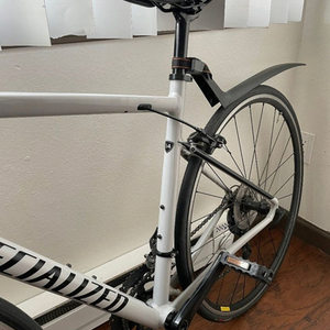 2020 Specialized Allez Silver, gray or bare metal