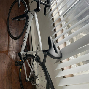 2020 Specialized Allez Silver, gray or bare metal